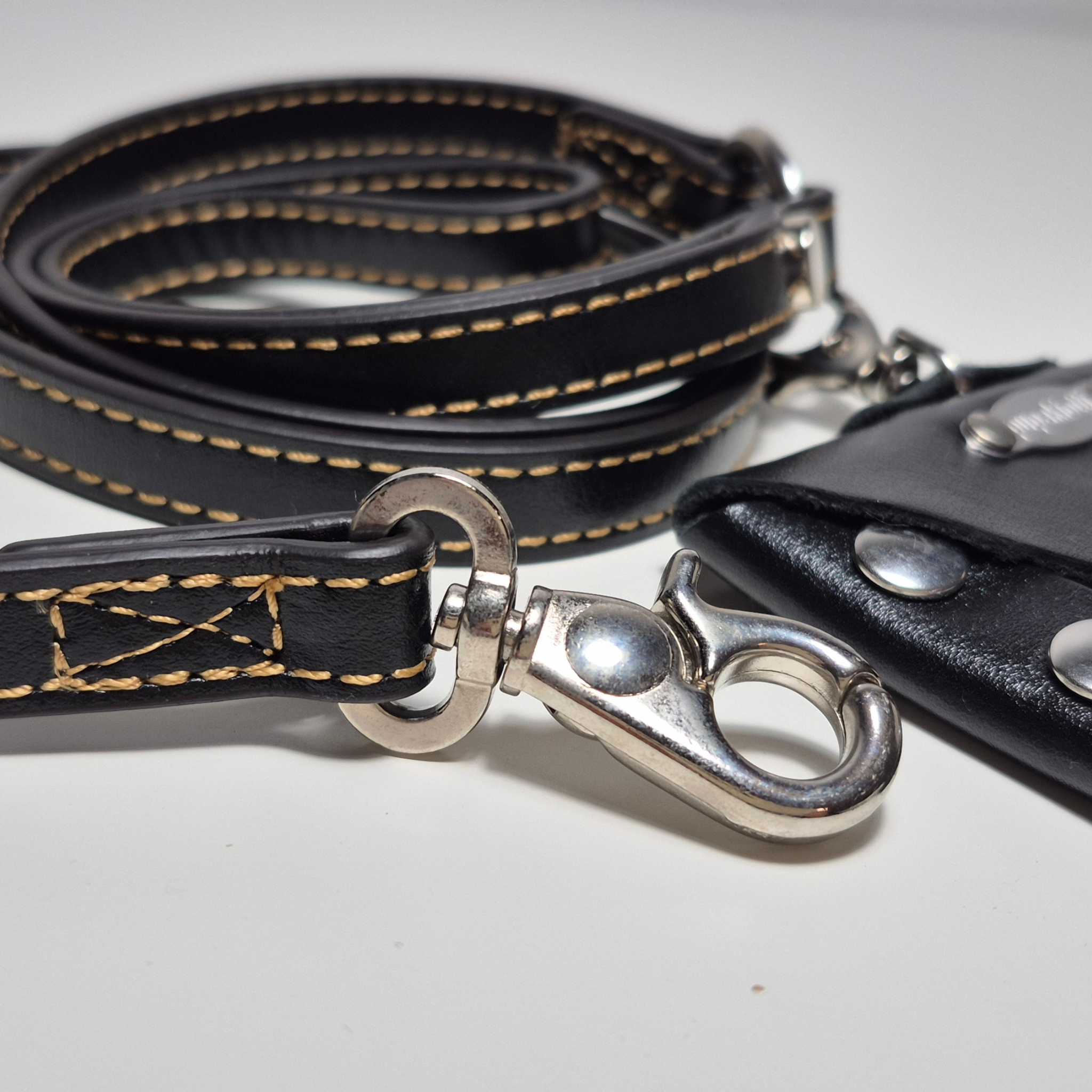 Guinzaglio e Porta Sacchetti in Vera Pelle per Cani